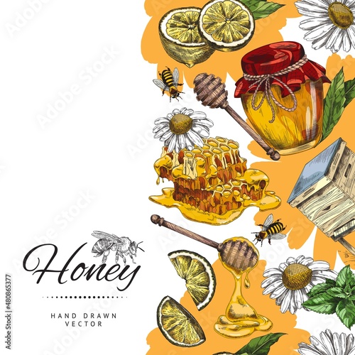 Honey banner or poster layout with bees and hives, sketch vector illustration.