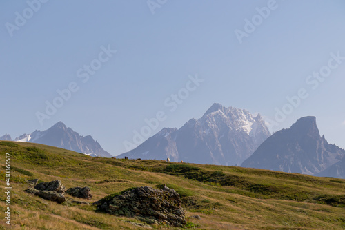 Grazing cows with an amazing view on the sharp Svaneti mountain peaks near Mestia in the Greater Caucasus Mountain Range, Upper Svaneti, Country of Georgia.Hiking trail to the Koruldi Lakes.