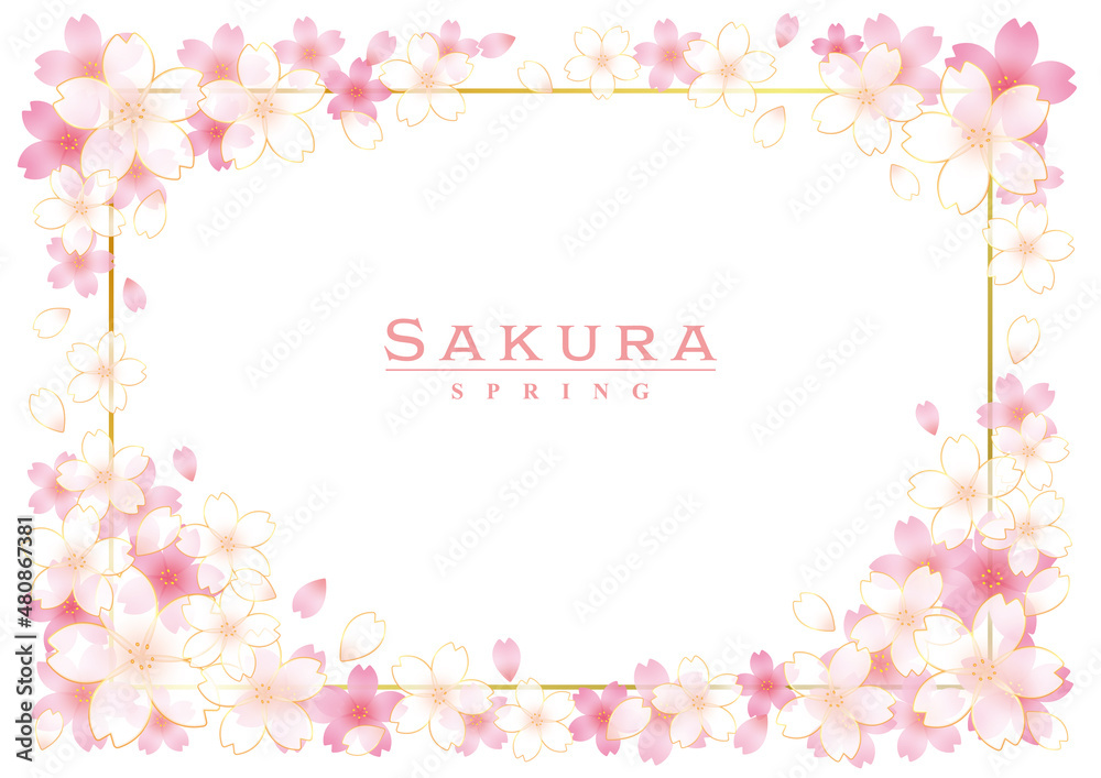 華やかなピンクと白の桜の花のフレーム　長方形
