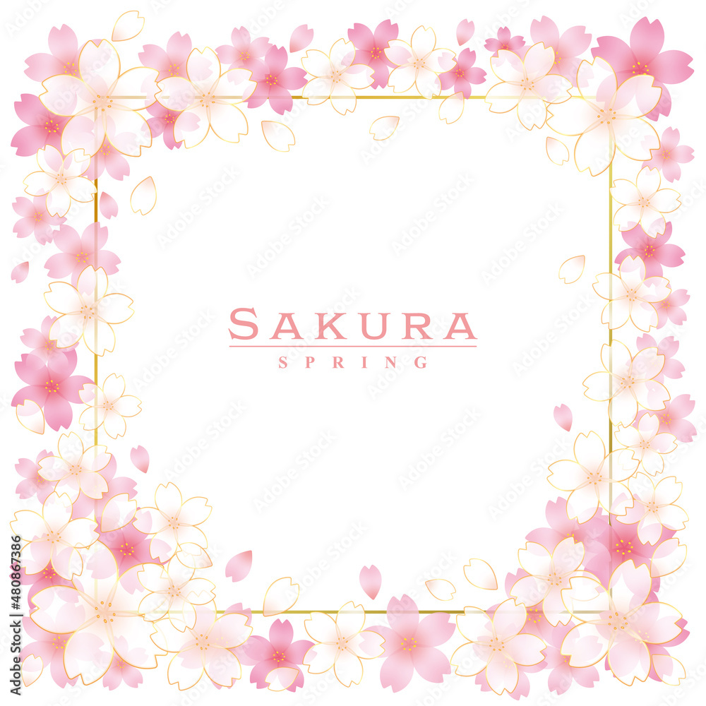 華やかなピンクと白の桜の花のフレーム　正方形