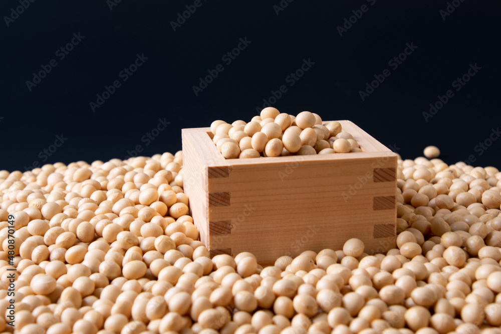 大豆 大豆