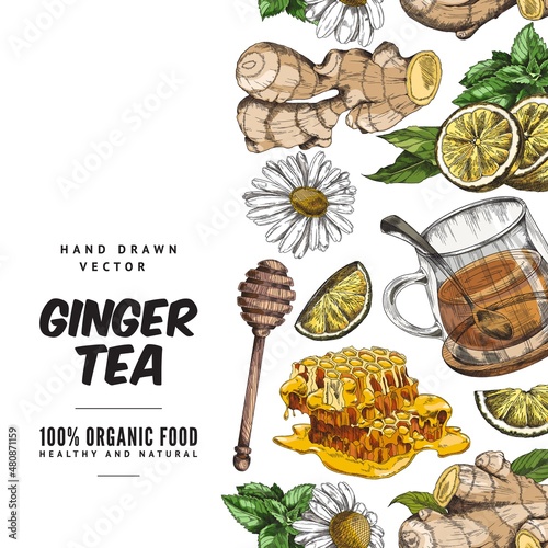 Hand drawn ginger tea social media poster template, sketch vector illustration on white background.