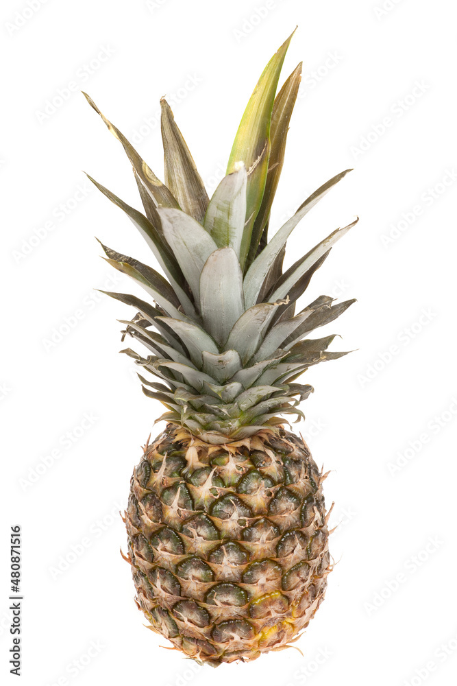 Fresh pineapple fruit isolated on white background Fresh pineapple fruit isolated on white background