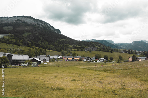 View of meadows and country houses near the Austrian railway.