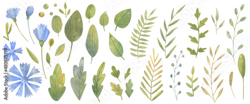 Watercolor clipart with blue flowers  green plants  herbs and leaves. They will create the mood of spring in your works. All elements are hand drawn. Ideal for any designs and your ideas 