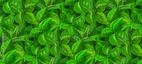 Realistic leaves pattern. Seamless print with green spring foliage, mint and tea background concept. Vector garden texture wallpaper