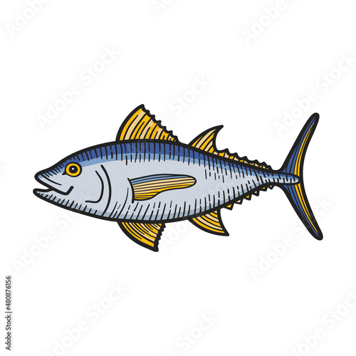 Ink sketch of tuna. Colourful hand drawn vector illustration.