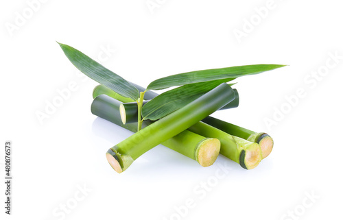 bamboo isolated on white background