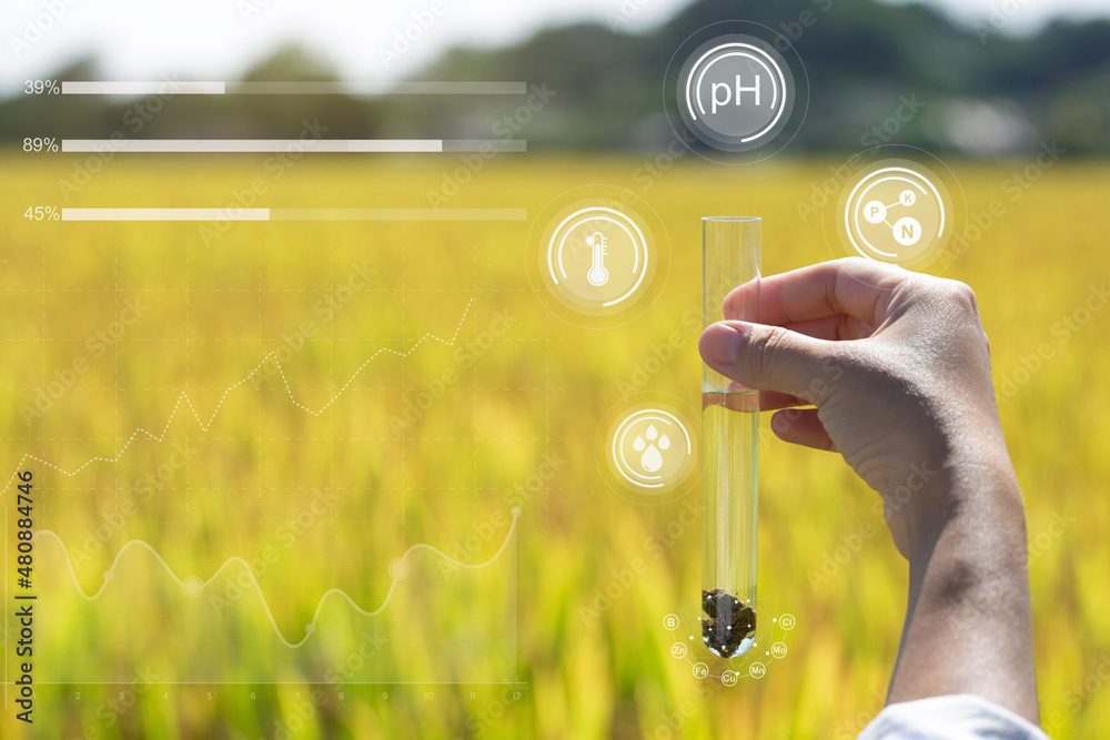 Hand Holding soil sample in a tube on the field for chemical analysis