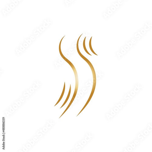 hair wave woman logo vector illustration design