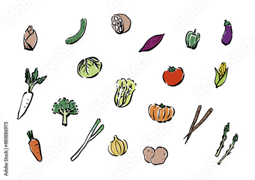 Set of a vector illustration of vegetables