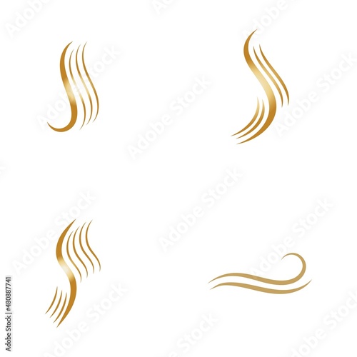 hair wave woman logo vector illustration design