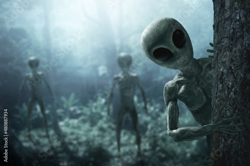 Bilde på lerret Aliens creature in the forest