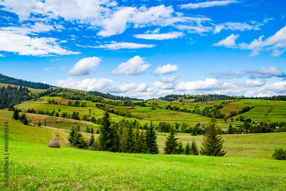 beautiful glade with green grass and coniferous trees on a background of beautiful mountain landscape in summer day. blue sky with clouds.
