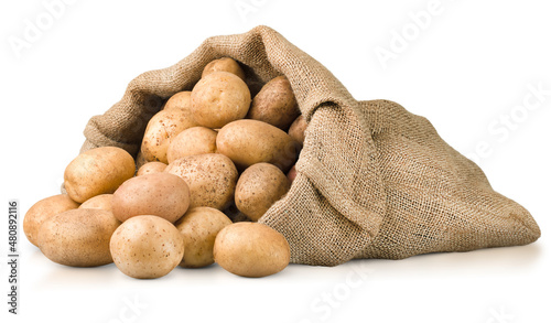 scattered potatoes in a burlap on a white isolated background