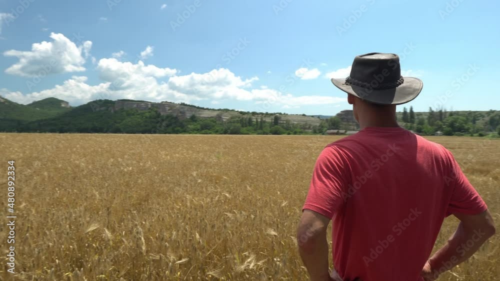 A middle-aged american man farmer in a hat stands in a field and looks at a ripe field of wheat. Agriculture industry harvesting concept A middle-aged american man farmer in a hat stands in a field and looks at a ripe field of wheat. Agriculture industry harvesting concept