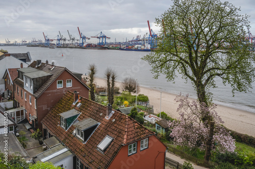 Germany, Hamburg, Othmarschen waterfront in spring with cranes of Port of Hamburg in background photo