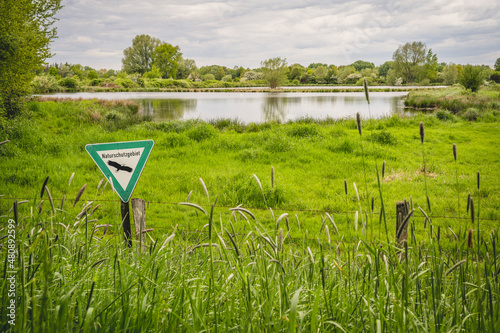 Germany, Hamburg, Reeds growing along fence in Die Reit Nature Reserve photo