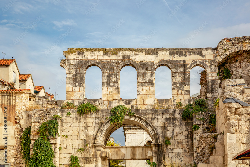 Plants growing on old limestone Silver Gate, Diocletian's Palace, Split, Dalmatia, Croatia Plants growing on old limestone Silver Gate, Diocletian's Palace, Split, Dalmatia, Croatia