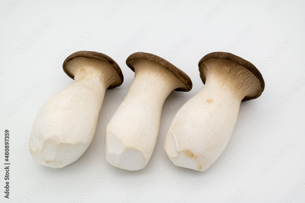 Three fresh pine mushrooms on the white background. Three fresh pine mushrooms on the white background.