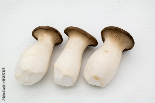 Three fresh pine mushrooms on the white background.