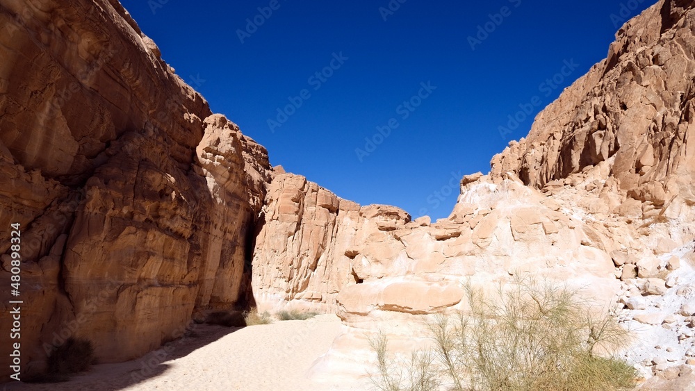 color canyon and white canyon from Sinai desert and mountains 