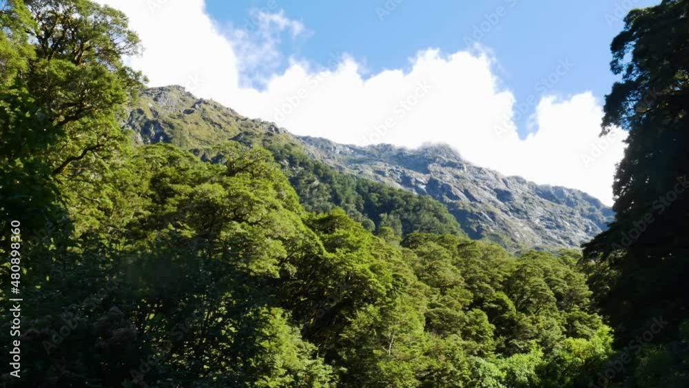 Cinematic panorama shot of massive mountains and dense green forest trees in the valley Cinematic panorama shot of massive mountains and dense green forest trees in the valley