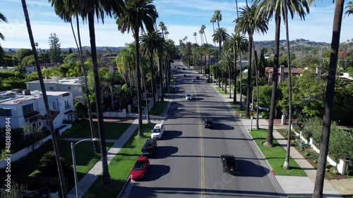 An idyllic residential street in Beverly Hills lined with palm trees on a clear day - overhead view photo