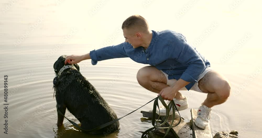 custom made wallpaper toronto digitalYoung man playing with dog standing on lake