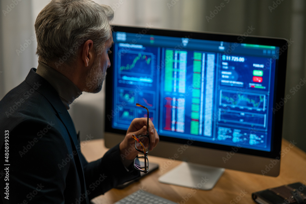 Rear view of mature businessman working on computer indoors in office.