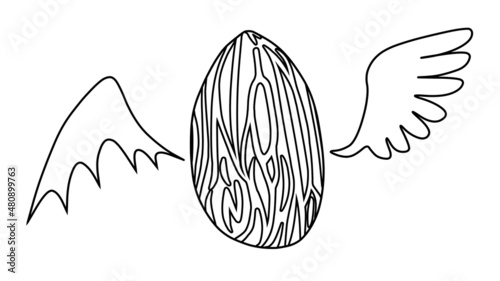 Obraz na płótnie アーモンドと天使の羽と悪魔の羽（線画）