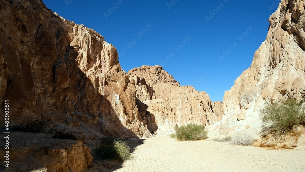 color canyon and white canyon from Sinai desert and mountains 