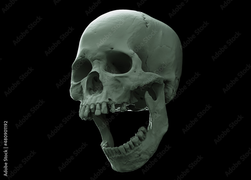 Obraz premium White Human skull on Black Isolated Background. The concept art of death, horror. Design for print, poster. A symbol of spooky Halloween, Virus, immortal, pirate. 3d rendering illustration.