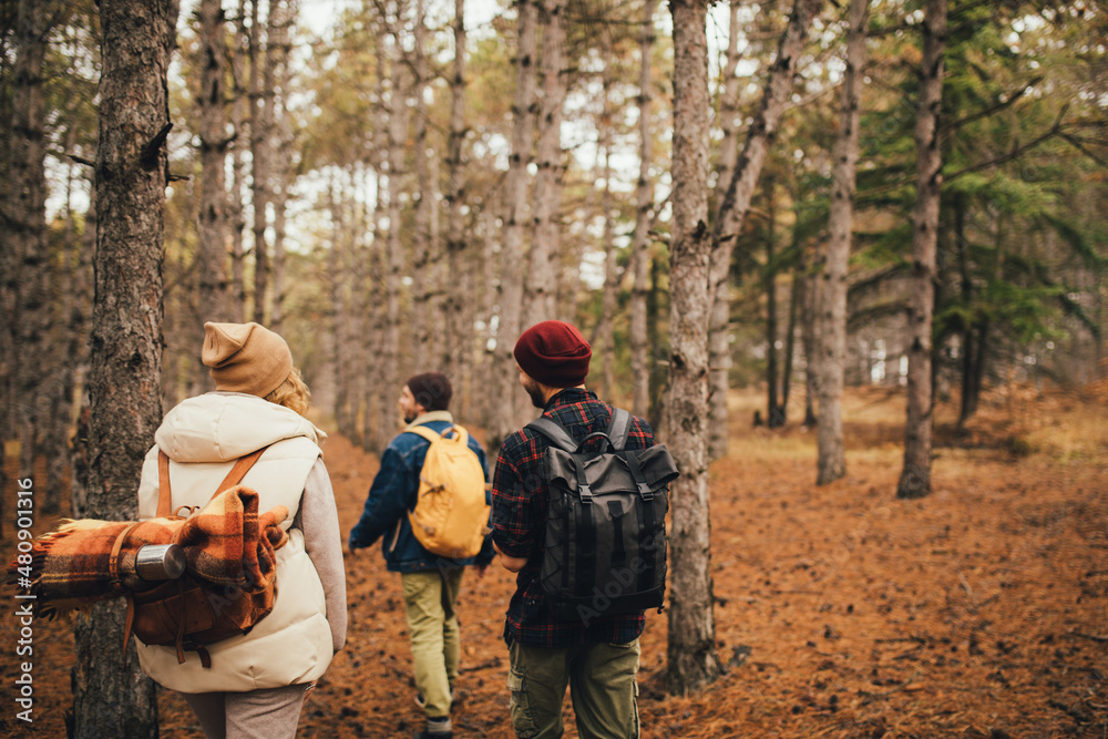 Group of friends travelers with backpacks hiking in a forest. Wanderlust concept. Group of friends travelers with backpacks hiking in a forest. Wanderlust concept.