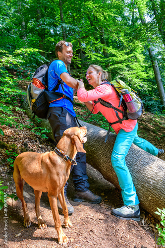 Hindernisreiche Erlebniswanderung im Naturpark Altmühltag mit Hund