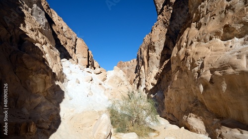 Wallpaper Mural color canyon and white canyon from Sinai desert and mountains  Torontodigital.ca