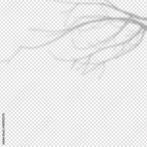 Realistic shadow tropical leaves and branches on transparent checkered background.