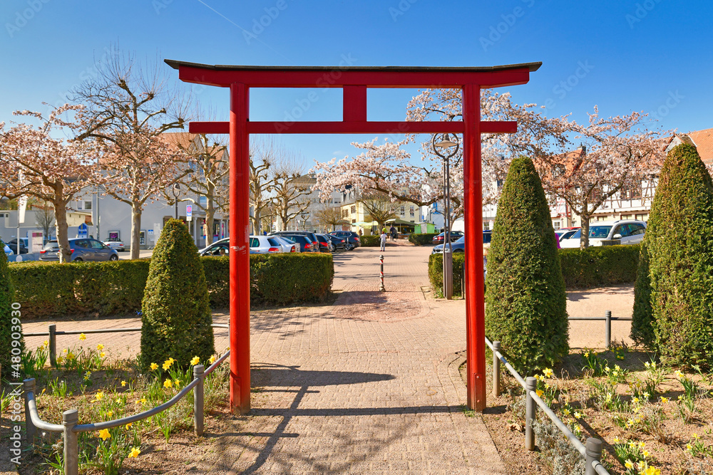 Hofheim, Germany - Japanese 'Torii' gate and blooming Japanese cherry trees in old historic city center of Hofheim Hofheim, Germany - Japanese 'Torii' gate and blooming Japanese cherry trees in old historic city center of Hofheim
