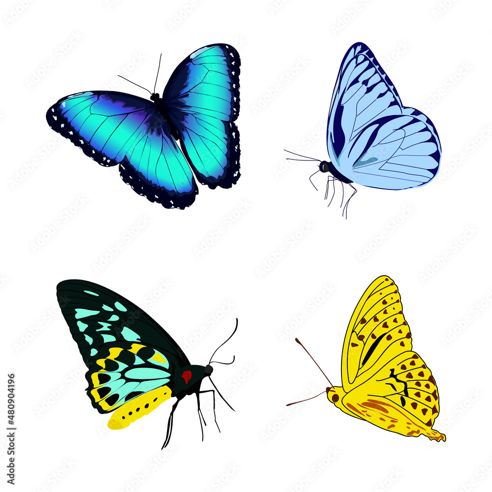 Naklejka premium butterfly, vector blue yellow butterflies. metamorphosis.