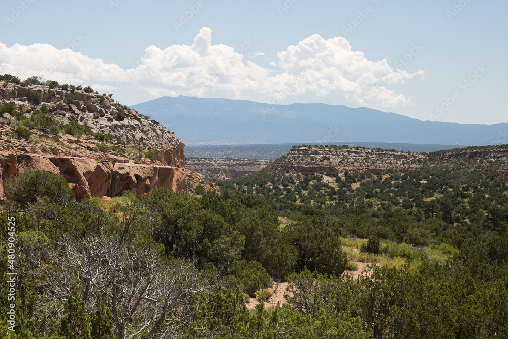 Panoramic View.
Scenic view of the canyon near Los Alamos, New Mexico.
