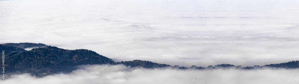 Sea of fog - Amazing mystical rising fog forest trees landscape in black forest ( Schwarzwald ) Germany panorama banner .- dark mood..