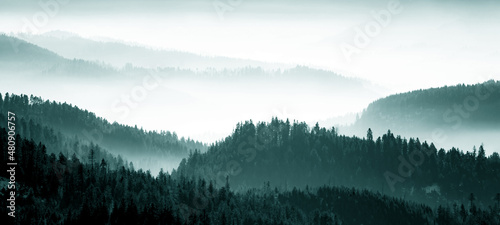 Amazing mystical rising fog mountains sky forest trees landscape view in black forest ( Schwarzwald ) winter, Germany panorama panoramic banner - mystical snow foggy mood © Corri Seizinger