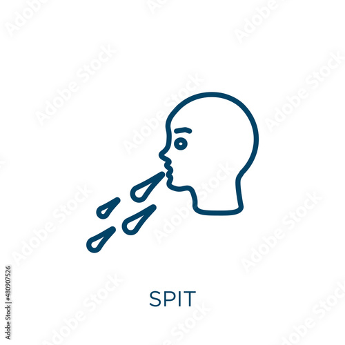 spit icon. Thin linear spit, food, meat outline icon isolated on white background. Line vector spit sign, symbol for web and mobile