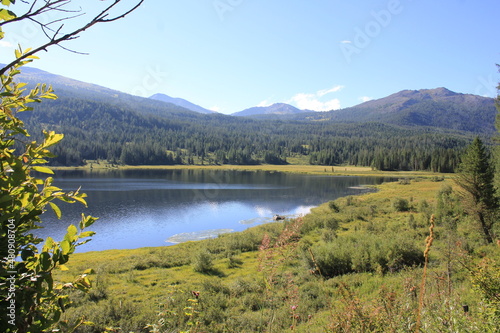 Lake near the forest and mountains