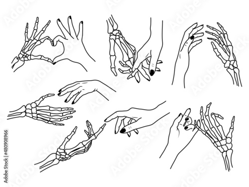 Set of hand gestures. Collection of skeleton hand with different gestures of pinky promise, heart, touching fingers. T-shirt print. Vector illustration for Halloween on white background.