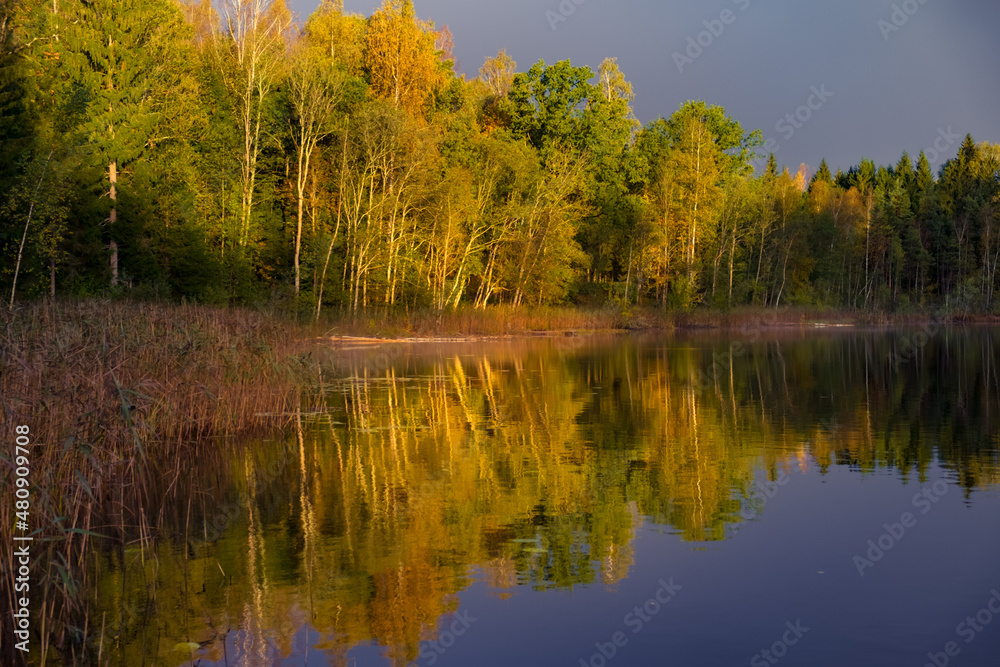 A beautiful autumn scenery at the forest lake with reflections. Fall scenery of Northern Europe. A beautiful autumn scenery at the forest lake with reflections. Fall scenery of Northern Europe.