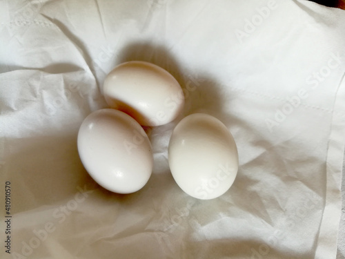 Three pigeon eggs in bird's nest.Bird nest white dove pigeon eggs lay on white paper