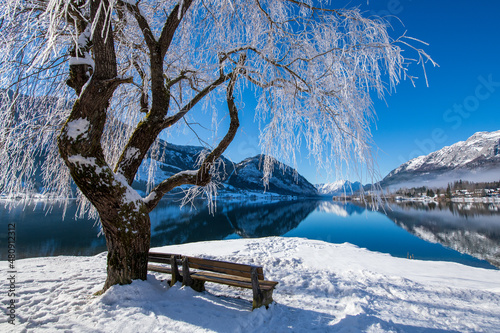 Grundlsee, Idylle mit Baum und Bänken am Ufer, Steiermark, Österreich im Winter