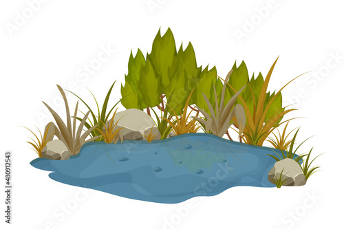 Lake, swamp with stones, bulrush lily leaves in cartoon style isolated on white background. Forest fantasy scene, wild nature.