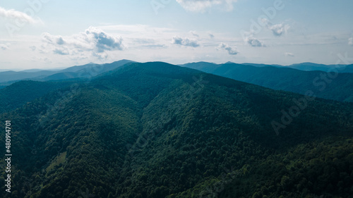 Mountains forest from a height landscape